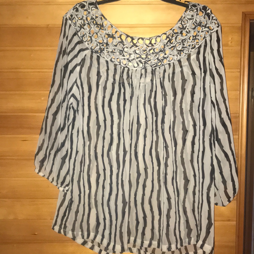 Sheer Tunic